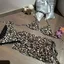 Bộ Bikini đi biển CQCJ, Bộ đồ bơi nữ in họa tiết da báo, Bộ đồ bơi gợi cảm thời trang đi biển