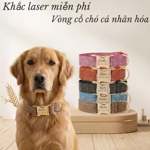 Vòng cổ thú cưng tùy chỉnh tên, Tweed Farbric, thẻ khắc tên, bộ cổ và dây xích kèm thẻ miễn phí
