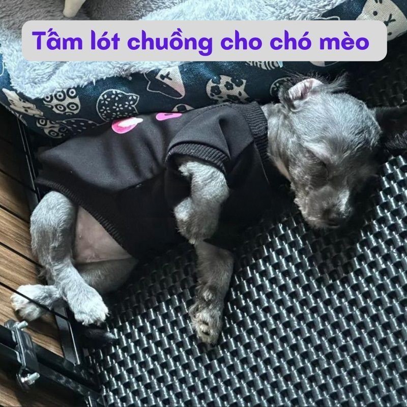 Tấm Lót Chuồng đặt riêng kích thước chất lượng Cao Su Cao Cấp Dễ Vệ Sinh Cho Chó Mèo Dog & Cat Đủ Kích Thước