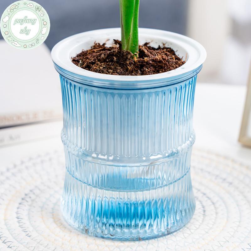 Chậu hoa thủy canh lười PUSKY Chậu hoa hấp thụ nước tự động Chậu hoa trong suốt hai lớp bằng nhựa tự tưới nước Văn phòng VN