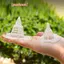 20 Chiếc Chậu Hoa Đáy Lưới Gioăng Cố Định Thiết Kế Cánh Cứng Mạnh Mẽ Cải Thiện Thoát Nước Lưới Hoa Gioăng Đồ Dùng Làm Vườn