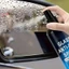 EDB * Chống Sương Mù Đa Năng Cho Xe Bề Mặt Thủy Tinh Và Nhựa 100ml Lâu Dài