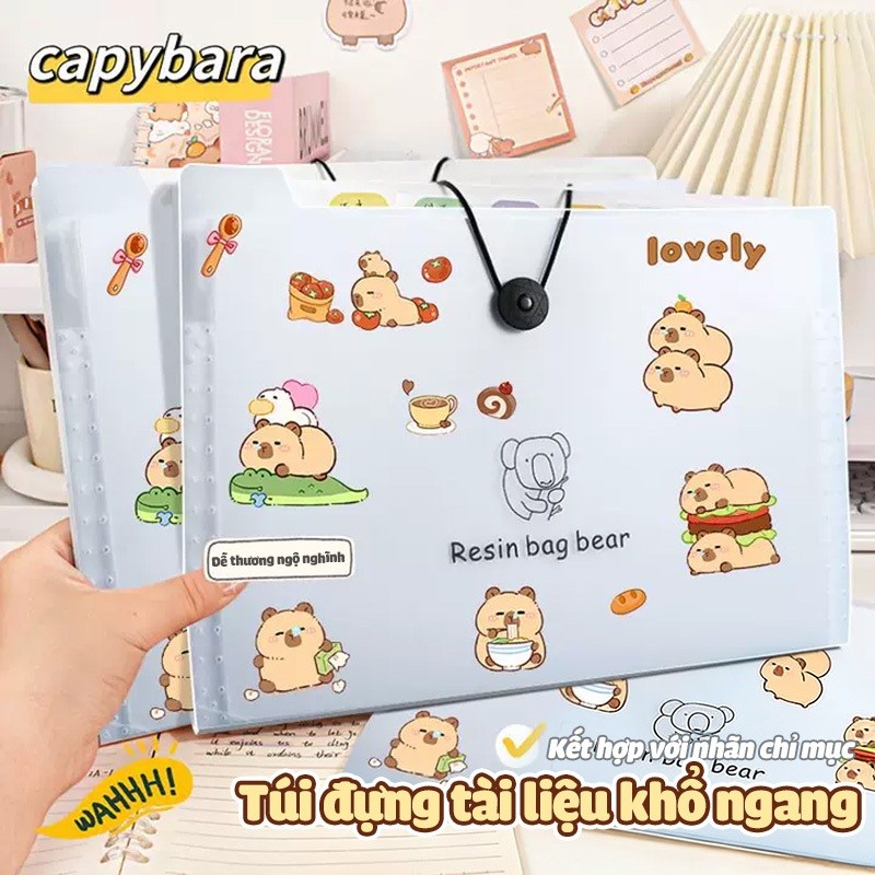 Túi đựng tài liệu A4 PP tiện lợi 8/12 ngăn – File đựng bài kiểm tra kèm sticker cute Capybara, phù hợp học sinh