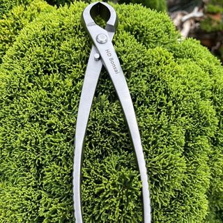 CẠP XÉO HD BONSAI - Bản cao cấp -  Thép Trắng Không Gỉ - Sử dụng tạo tác cây bonsai; cây cảnh