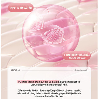 Toner Pad PDRN 0.5% LEADERS Essence Pad Cấp Ẩm Và Tăng Đàn Hồi Da Nhạy Cảm (70 Miếng)
