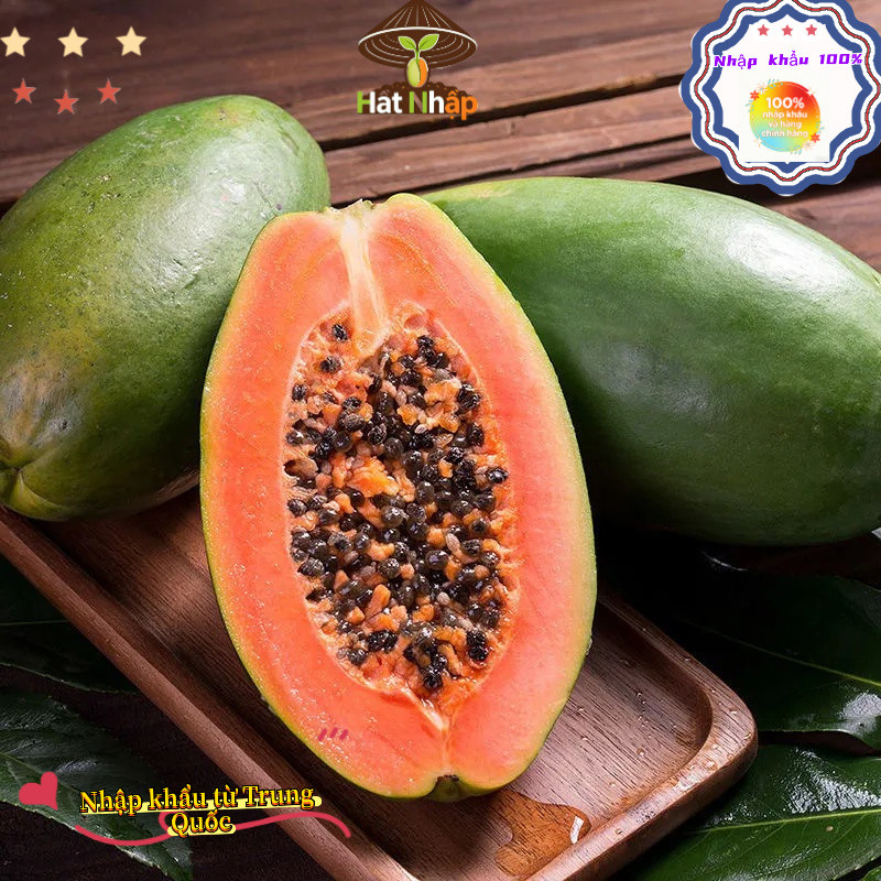 Imported red-fleshed papaya from China,Hạt Giống Đu Đủ Ruột Đỏ Sinh Trưởng KhoẻOriginal packaging 50 caps-k019