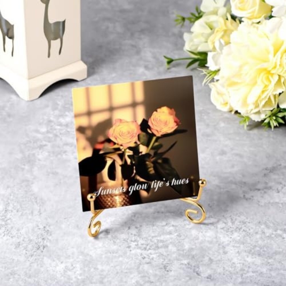Giá đỡ trưng bày BORAGETE, Giá đỡ tấm rắn bằng sắt, Có thể gập lại bền 4 6 8 10 12 inch Giá đỡ bát bằng kim loại Khung ảnh