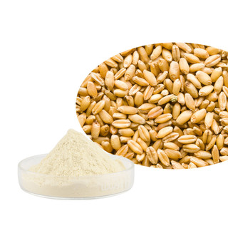 Bột Malt hữu cơ 500g / 1000g | 100% Nguyên Chất Tự Nhiên Không Phụ Gia