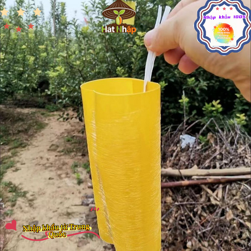 Bẫy ruồi vàng, bẫy màu côn trùng 2 mặt - Hiệu quả với nhiều loài gây hại cho vườn lan, rau hoa màu và cây ăn trái，