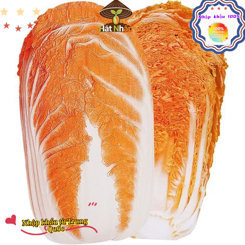 Hạt giống cải thảo Phượng Hoàng F1 Hybrid,Khoảng 700 hạt trong bao bì gốc, k027