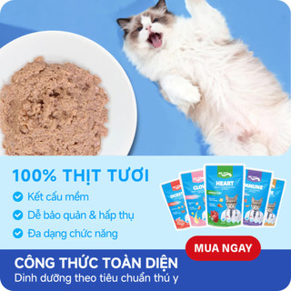 Pate Cho Mèo Mr. Vet Gói 70g Bổ Sung L-Lysine Và Omega 3 Hỗ Trợ Miễn Dịch