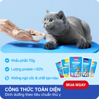 Pate Cho Mèo Mr. Vet Gói 70g Bổ Sung L-Lysine Và Omega 3 Hỗ Trợ Miễn Dịch