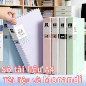 Thư mục Morandi, một công cụ sắp xếp tài liệu, được thiết kế chuyên dụng cho việc lưu trữ tệp tin.