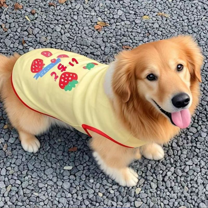 2025 Ngoài Trời Thú Cưng Vest Golden Retriever Samoyera Prado Chó Lớn Dễ Thương Quần Áo Cho Chó Khuyến Nghị