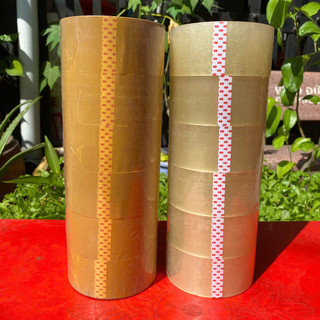 Băng Keo Dán Thùng Trong & Đục – Cây 6 Cuộn, Đóng Gói Chắc Chắn