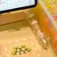 DWEL Perler Hama Hạt Bút, Đầu 2.6mm Tự Động Hạt Vị Trí Bút, Sáng Tạo Báo Chí Thủ Công Máy Làm Hạt DIY Dự Án Thủ Công Cầu Chì Hạt Bút Quà Tặng Trẻ Em