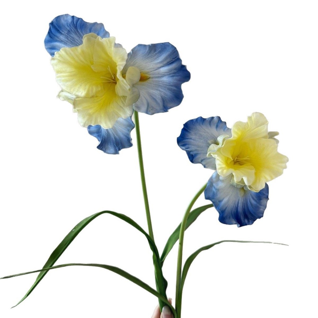 Bó hoa nghệ thuật nhân tạo Iris cao cấp, tranh sơn dầu, trang trí bàn ăn, cảm giác thực tế