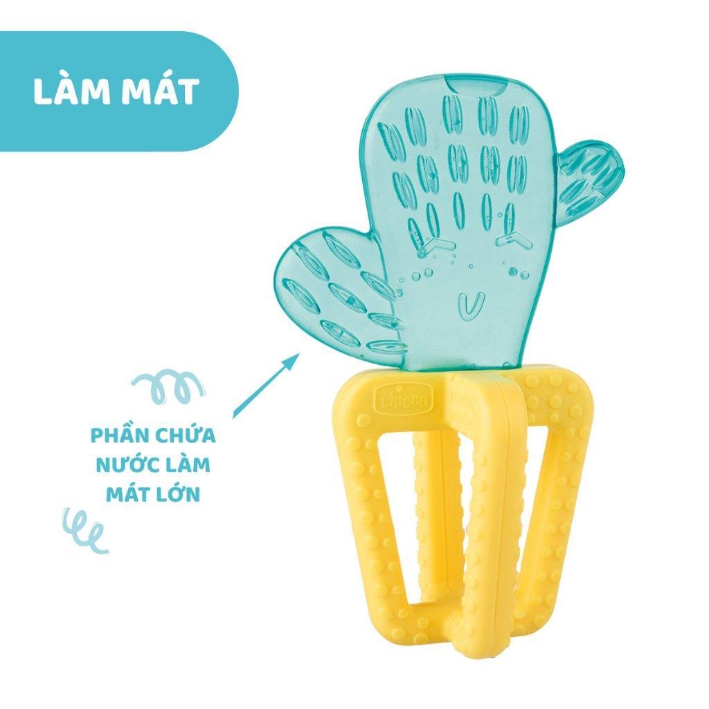 Gặm nướu xương rồng Chicco