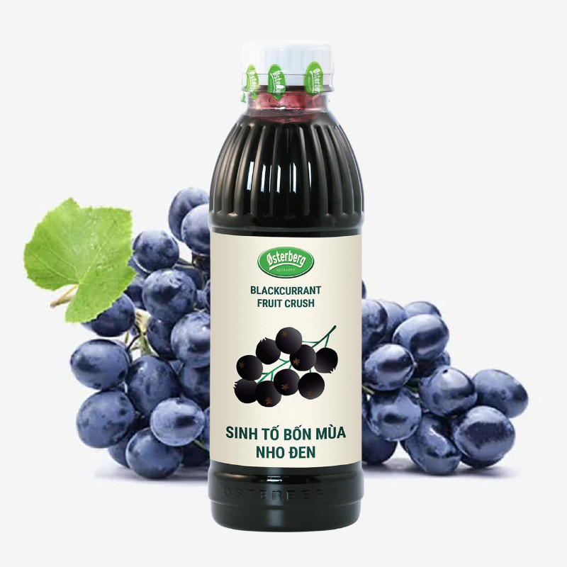Sinh Tố Trái Cây Bốn Mùa Osterberg Đủ Hương Vị Chai 1L, Thơm Ngon Cho Ly Trà Trái Cây Chuẩn Vị