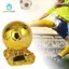 Cúp Cúp Giải đấu thể thao Người chiến thắng Giải thưởng thi đấu bóng đá Cúp