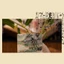 Yoo Art Card Làm Sổ Lưu Niệm Miếng Dán Trang Trí Thêu Sò Miếng Dán Trang Trí