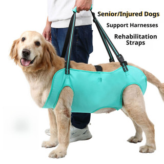[Thích hợp cho chó 12-80 lbs] Dây nịt hỗ trợ chó cưng, Dây đeo hỗ trợ đi bộ cho chó già và người khuyết tật