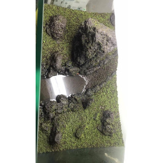 - 200gram rêu minifiss hàng vò dùng để ươm setup bể cá thuỷ sinh, ươm trên đá , ươm lũa