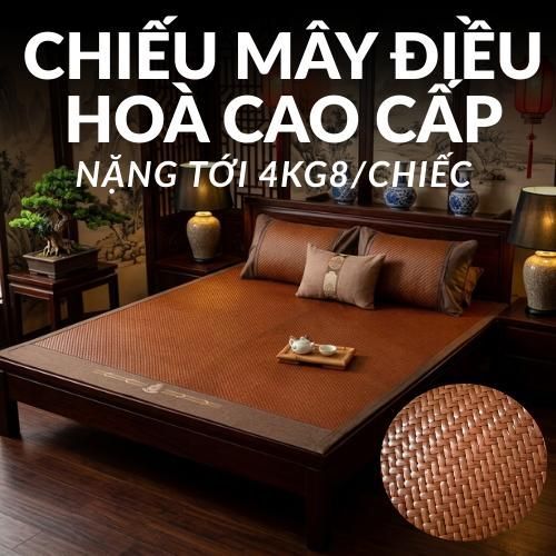 Chiếu Mây Điều Hoà Băng Lạnh 2026 4kg8/1m8 Giường Sinh Viên Dành Cho Người Già Và Trẻ Nhỏ Có Thể Gấp Gọn  ( ẢNH Thật