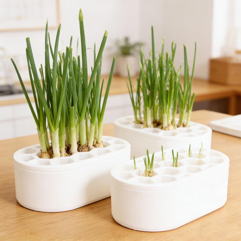 Chậu trồng cây nhà bếp cầm tay Tái tạo trồng cây-Tốt tỏi thủy canh không đất Rau củ