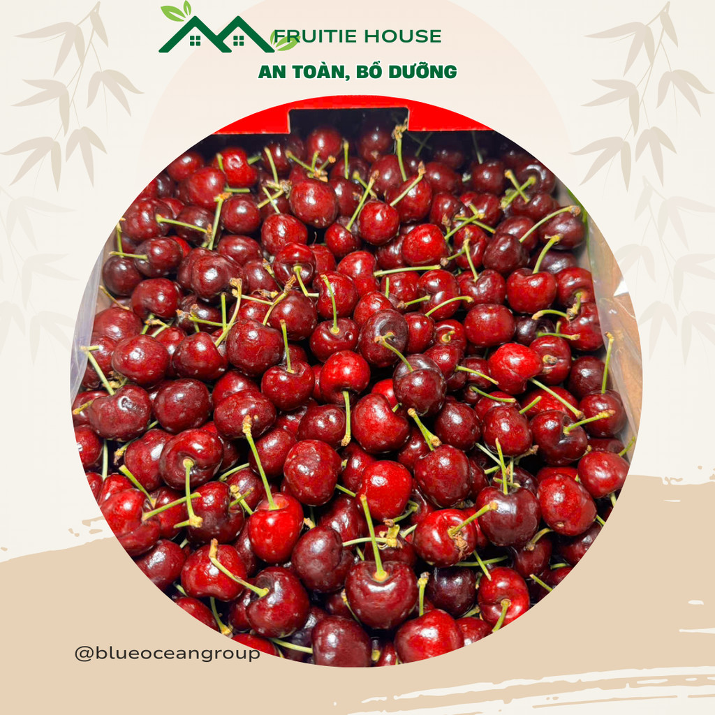 [Ship Hỏa Tốc HCM 1-2 giờ ] 1Kg Cherry Mỹ đầu mùa tươi ngọt [BO-BL-028]