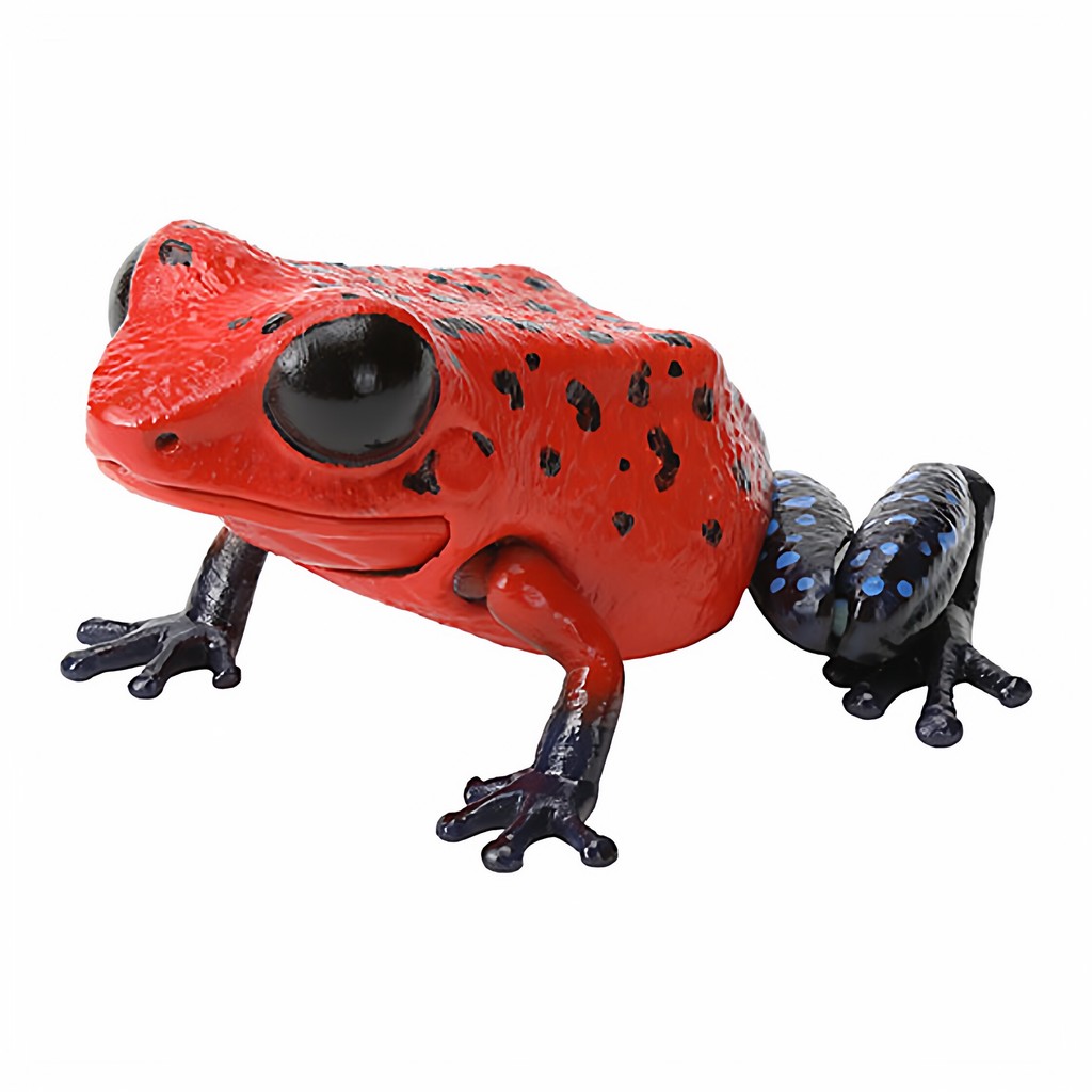 [BTF] Hàng có sẵn BANDAI Viên Đồ Chơi Sinh Học Lớn Minh Họa Sách Độc Mũi Tên Ếch Ếch Mô Phỏng Trang Trí Động Vật U6U3