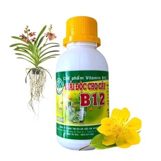 Chế phẩm B12 Tăng  đề kháng Chống Sốc Cho Cây Trồng, Cây Kiểng, Phong Lan, Hoa Kiểng (Lọ 100ML)