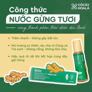 Lăn Dưỡng Tóc Thảo Mộc 15g | Giảm Rụng Tóc, Kích Thích Mọc Tóc, Tóc Dày Khỏe | Nhà Mộc Nhiên
