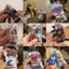 Bandai Ultraman Cao Su Mềm Monster 500 Series Dianatriganas Thế Hệ Đầu Tiên Orb Scott