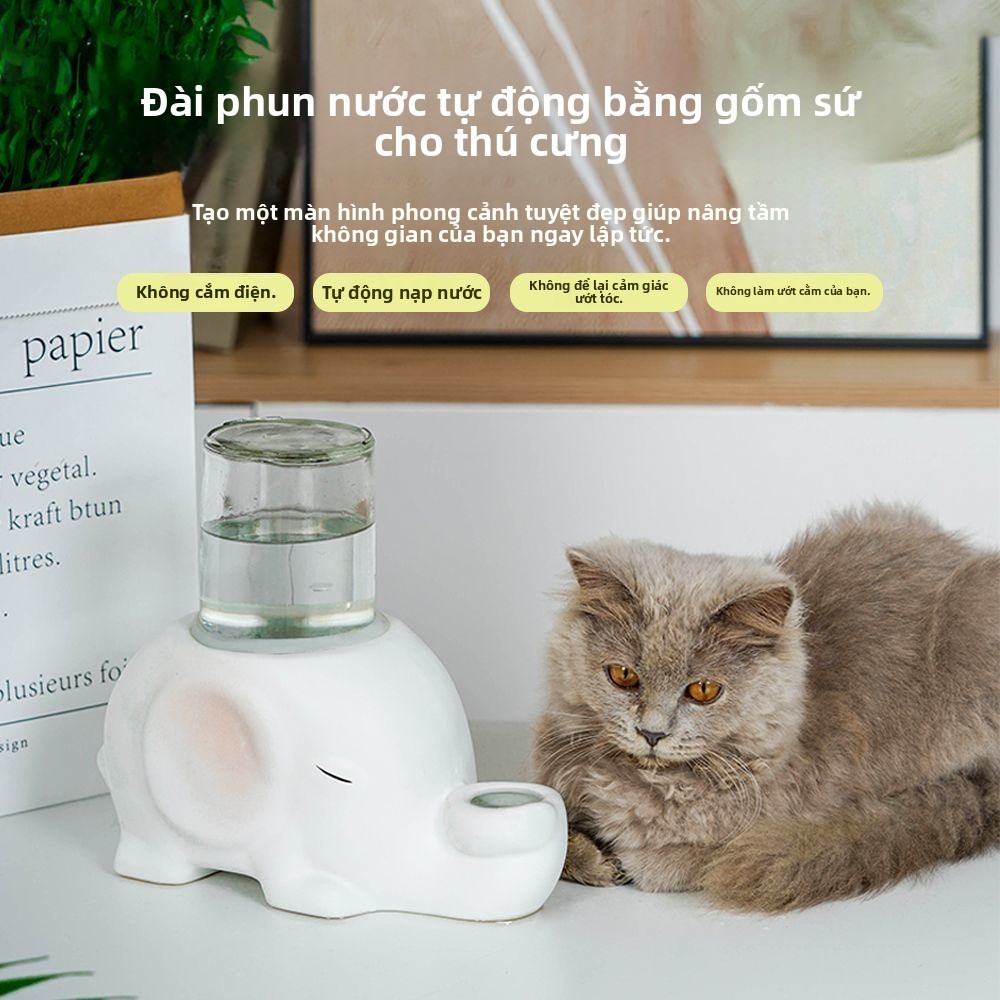 [Vật liệu chất lượng cao] Đài phun nước uống bằng gốm voi Cat Non-Wet Chin Bát uống nước Mặt SGWZ