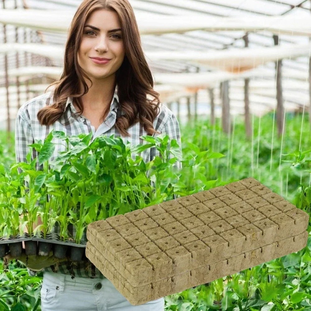 50 / 100 CÁI Văn hóa không đất Rockwool Khối trung bình Hydroponic Seeding Khối trồng cây cho cây