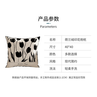 Hàng sẵn có kiểu kem kiểu Pháp Gối Sofa phòng khách Gối phong cách hiện đại Trang trí đơn giản Màu đen Trắng Vỏ gối cao cấp Cảm giác cao cấp 01