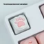 Yoo Personalizeds CatPaw Keycap với chất liệu silicon mềm dành cho mèo Những người đam mê tìm cách nâng cao thời gian gõ của họ
