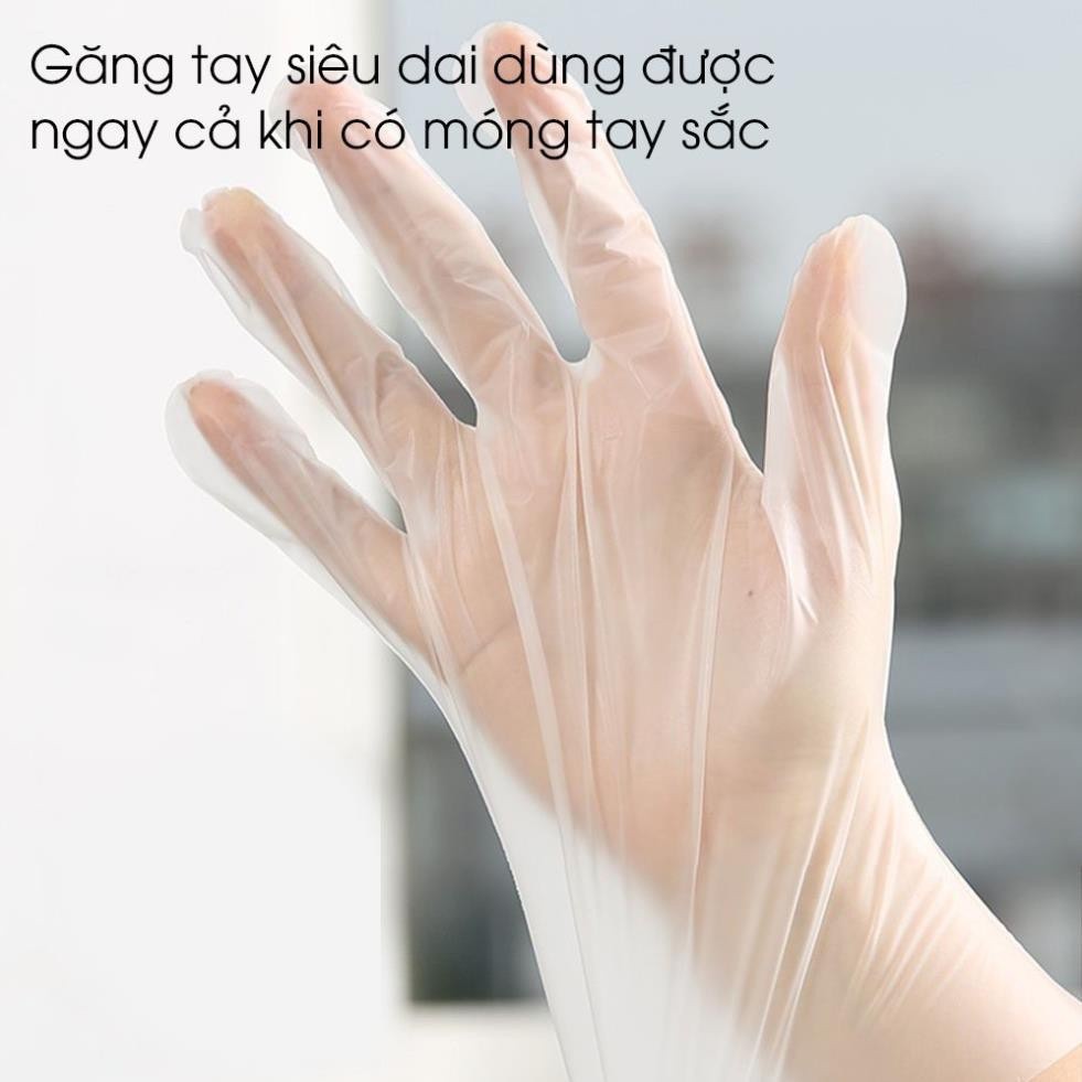 Combo 5 Hộp chiếc găng tay Victoria Bay TPE siêu dai và mềm mịn