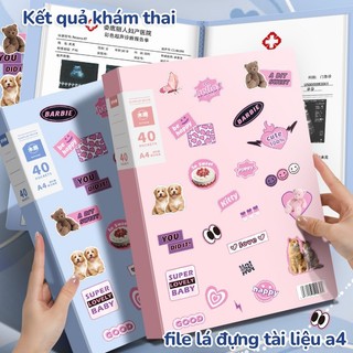 File lá đựng tài liệu A4 tiện lợi cho học sinh, nhân viên văn phòng lưu trữ kết quả khám thai và tài liệu cá nhân