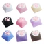 CatPaw Keycap Silicone dành cho trải nghiệm gõ mềm mại và thoải mái Thêm cảm ứng cá nhân vào bàn phím