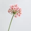 CATIYAHA Hoa sen giả, Nhánh hoa Agapanthus giả bằng nhựa, Phụ kiện bàn hoa nhân tạo dài 75cm sang trọng