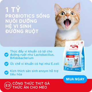 Hạt Topping Cho Mèo MRVET E1, E2, E3 túi 1kg