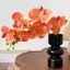 Bình Hoa Thủy Tinh Phong Cách Pháp Retro Bình Cắm Hoa Sang Trọng Decor Phòng Khách Tân Cổ Điển Ins Style [Màu Đen/Hồng]