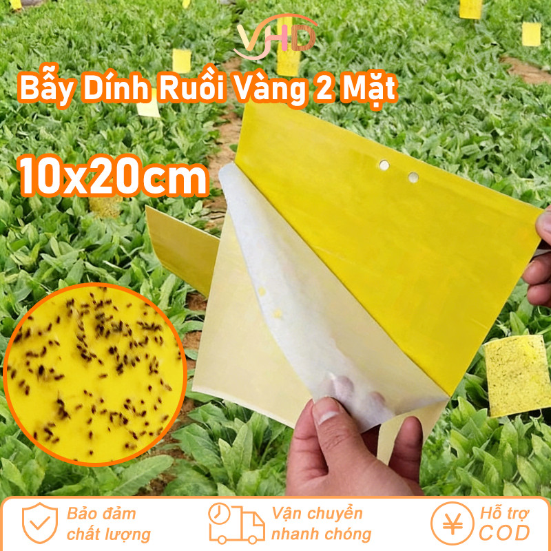 Bẫy Dính Ruồi Vàng 2 Mặt 10x20cm - Diệt Hiệu Quả Ruồi Vàng & Côn Trùng Gây Hại Cho Vườn Cây, Rau Màu