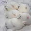 HFTOY Squishy Con dấu dễ thương Bóp Đồ chơi giảm căng thẳng Đồ chơi Mochi mềm Hoạt hình Phục hồi chậm Đồ chơi thần tài đàn áp cho trẻ em Quà tặng ~