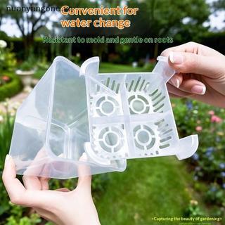 Nuanyangone.vn Hộp Đựng Thủy Canh Có Giỏ Hỗ Trợ Thoáng Khí Hạt Thủy Canh 4 Lỗ Chậu Hoa Không Đất Trang Trí Nhà Cửa Mới