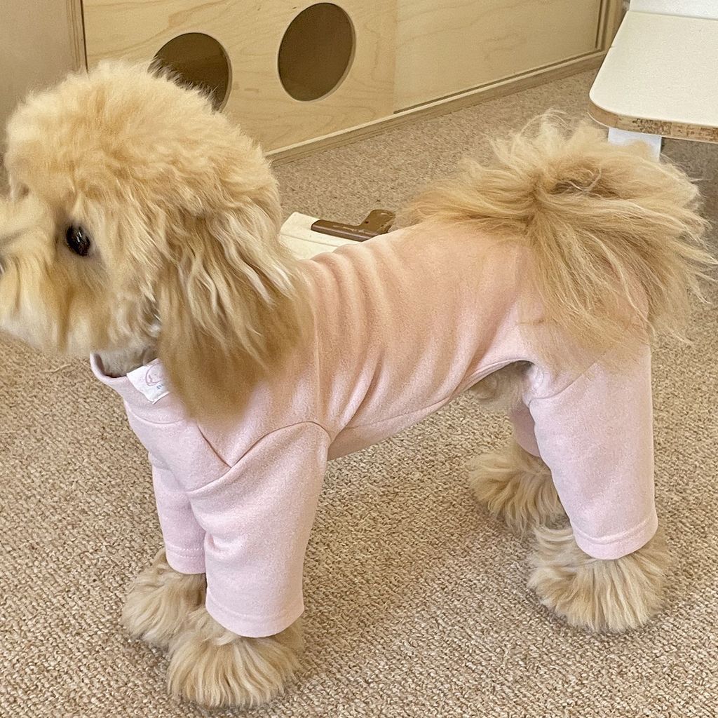 Mùa Thu Đông Thú Cưng Quần Áo Bốn Chân Ấm Áp Jumpsuit Chó Nhỏ Đáy Quần Áo Thú Cưng