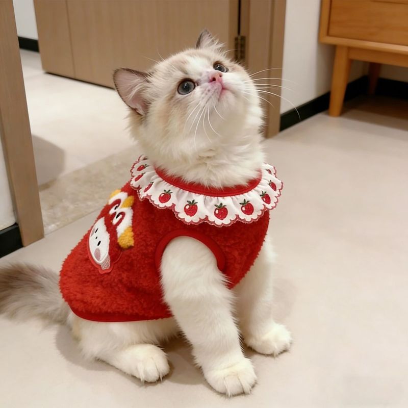 Năm Mới Quần Áo Lễ Hội Mùa Xuân Lễ Hội Lễ Hội Mèo Quần Áo Ren Đỏ Vest Muppet Mèo Vàng Gradient Mèo Con Lông Cừu Vest