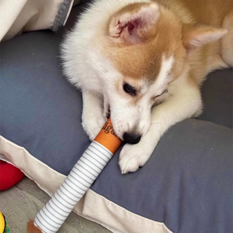 HamshMoc Đồ Chơi Cho Chó Squeaky Sang Trọng Nhai Đồ Chơi Tương Tác Điều Trị Xếp Hình Đồ Chơi Để Làm Sạch Răng Chán Giảm